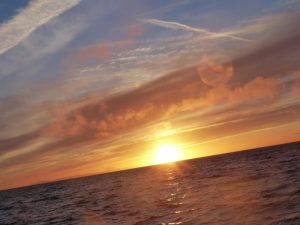 The coast of California is home to beautiful sunsets! Know the best places to watch the sunset in San Francisco so you can make the most of your time in the city. San Francisco Travel Tips | Where to Watch the Sunset in the Bay Area | California Travel Tips | Bay Area Travel Tips | Things to Do in San Francisco #sanfrancisco #bayarea #sunsets #travel