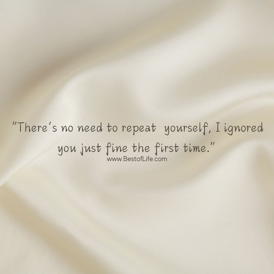 Great Quotes when you are Feeling Sarcastic "There's no need to repeat yourself, I ignored you just fine the first time."