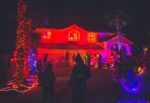 Having the best Halloween decorations is a must for throwing a spooky and fun Halloween party that guests will enjoy! Outdoor Halloween Decorations | Scariest Halloween Decorations | Scary Halloween Decorations | Halloween Decorations Ideas | Halloween Decorations Amazon | Cheap Halloween Decorations