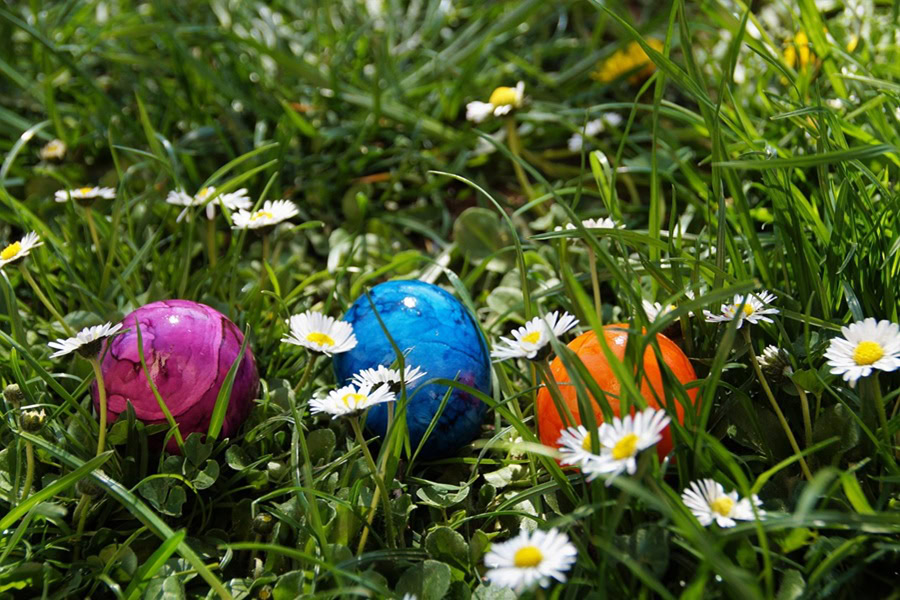 Easter Egg Hunt Ideas for Toddlers Close Up of Tie Dyed Eggs in Grass